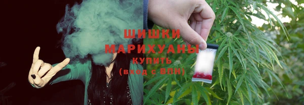 СК Краснослободск