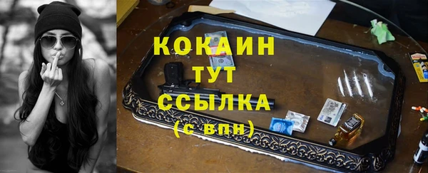 СК Краснослободск