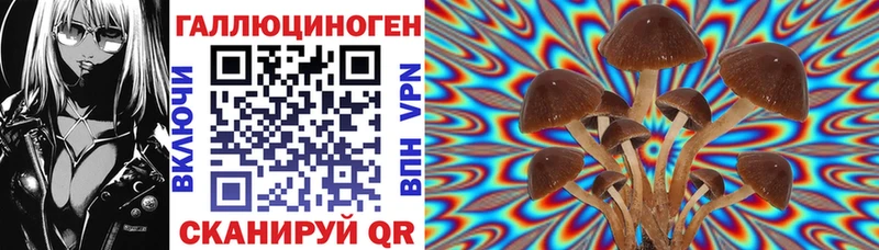 Псилоцибиновые грибы Psilocybine cubensis  Купить  Глазов 